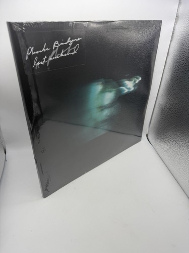 Phoebe bridgers lost - phoebe,